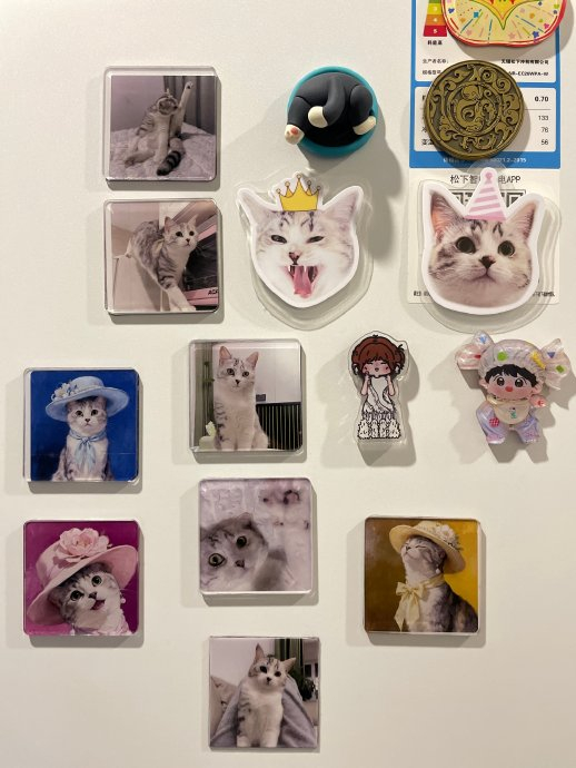 友人赠猫冰箱贴庆生,加班后赴蓬莱观绝美夕阳